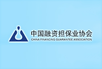 中国融资担保业协会
