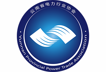 云南省电力行业协会2025年会员大会